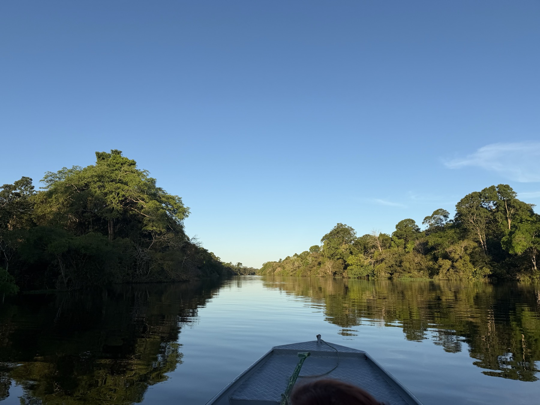 A boat gliding down a calm Amazon river channel at dawn