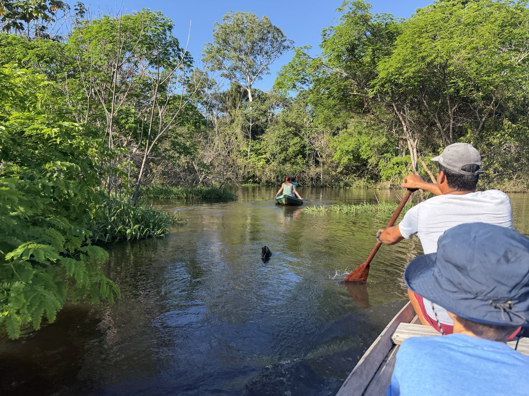 Paddling a canoe through a flooded forest channel in the high-water season