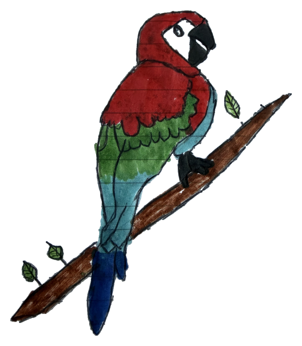 A child's drawing of a scarlet macaw