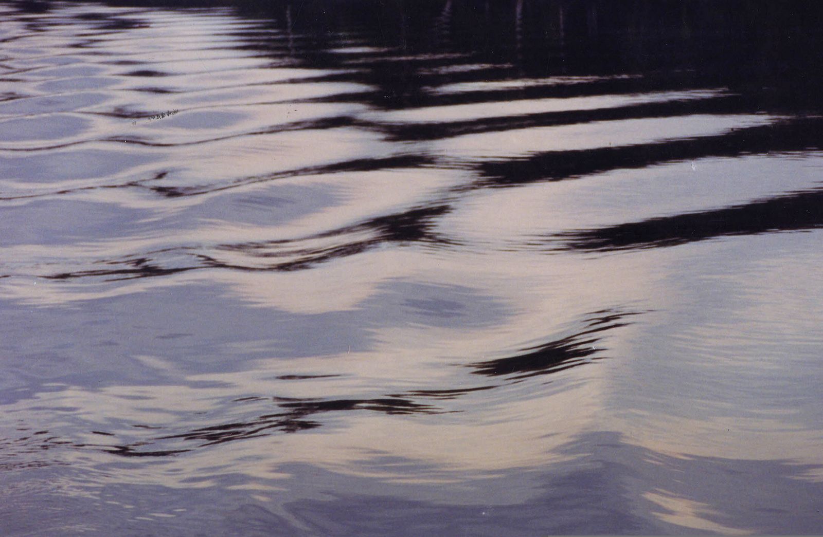 Silvery reflections on the still river surface